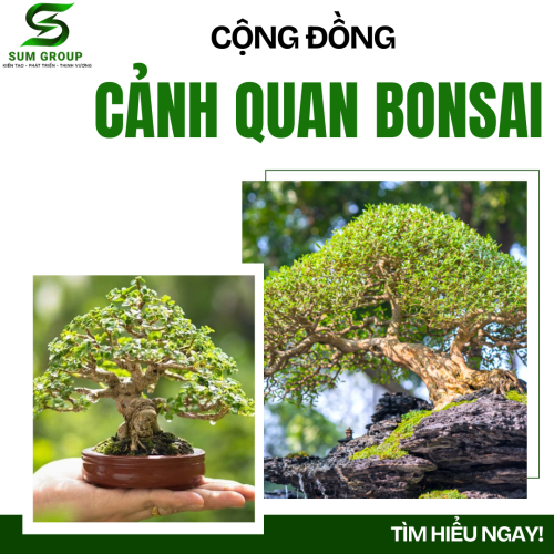 Cộng đồng Bonsai